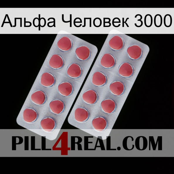 Альфа Человек 3000 19.jpg